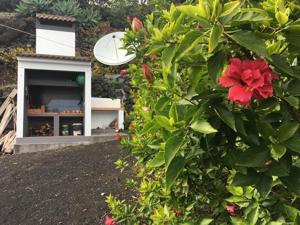 Holiday home Casa Do Avo Faidoca