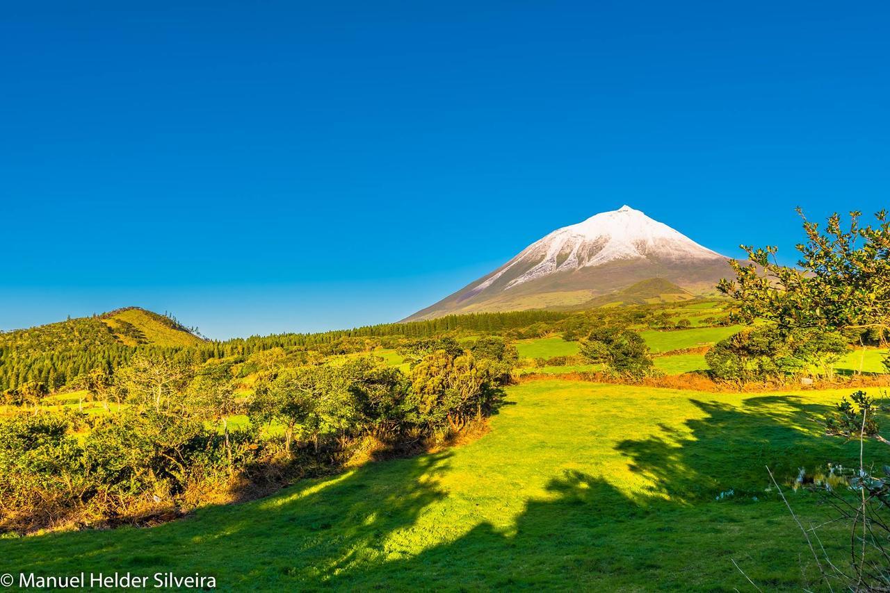 Casa Do Avô Faidoca Hébergement de vacances Calheta de Nesquim