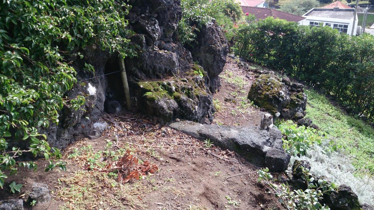 Casa Do Avô Faidoca Hébergement de vacances